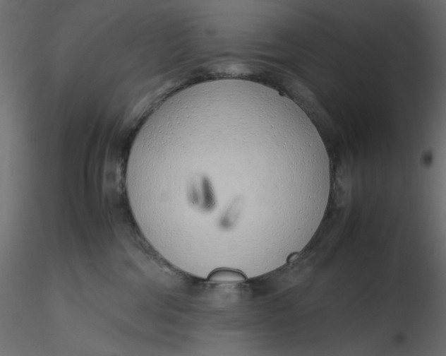 X0000116620330200912312144