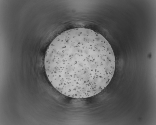 X0000116620331200912312144