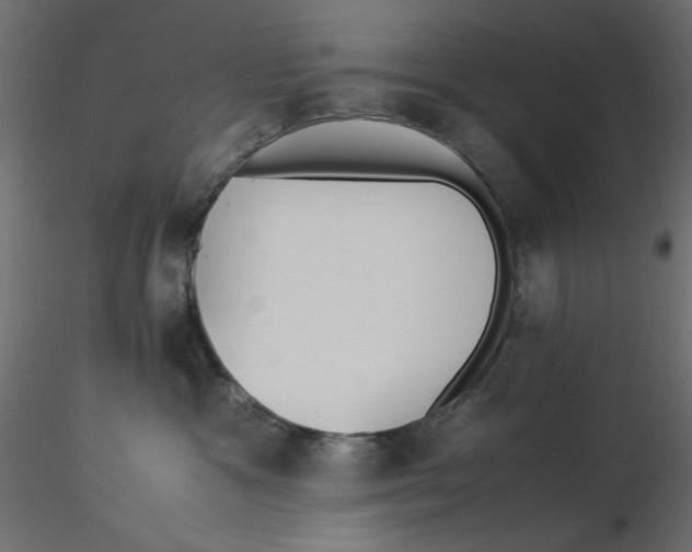 X0000116620333200912312144