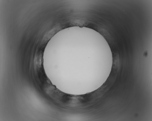 X0000116620334200912312144