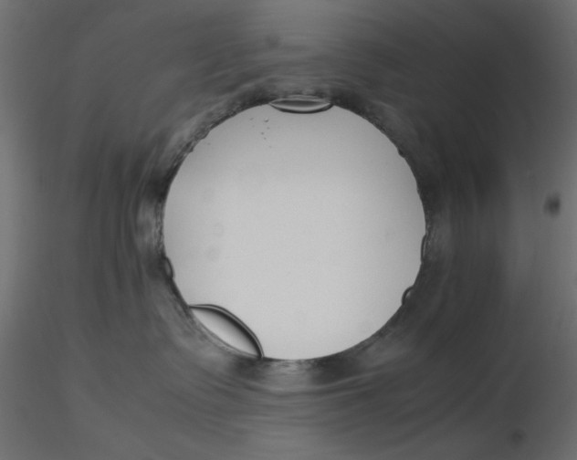 X0000116620335200912312144