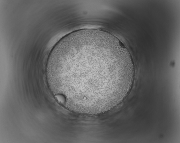 X0000116620337200912312143