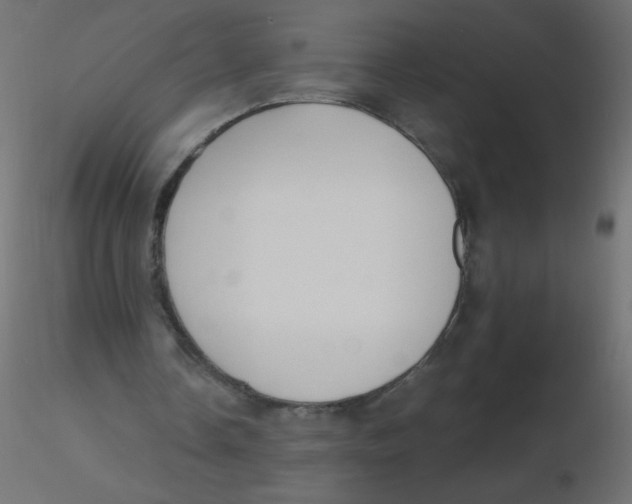 X0000116620338200912312143