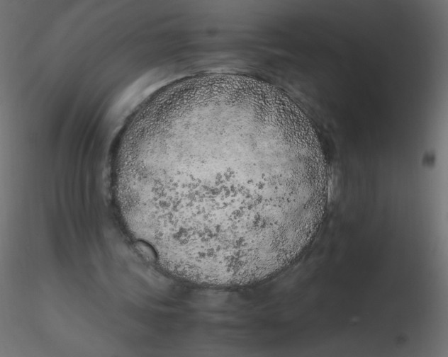 X0000116620339200912312143