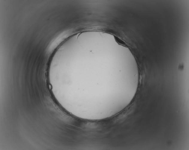 X0000116620341200912312143