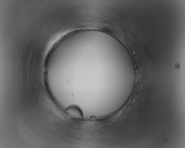 X0000116620342200912312143