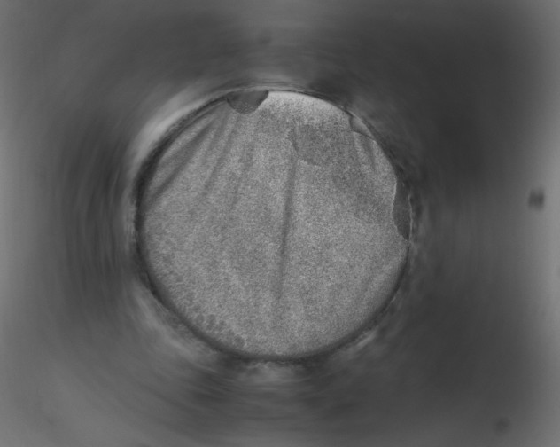 X0000116620343200912312143