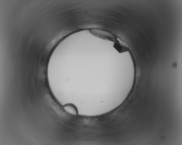 X0000116620345200912312143