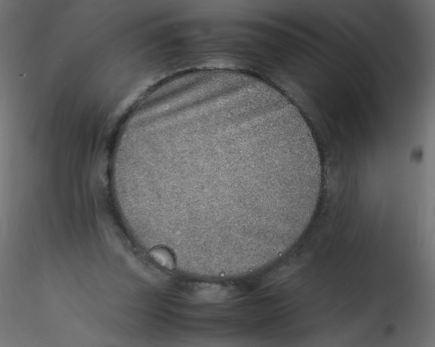 X0000116620347200912312143