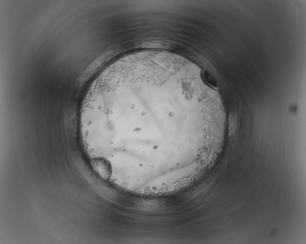 X0000116620349200912312143