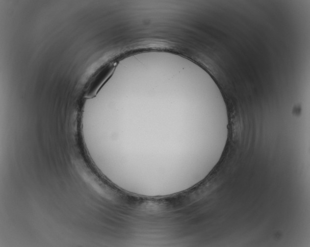 X0000116620350200912312143