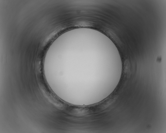 X0000116620351200912312143