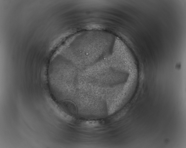 X0000116620353200912312143