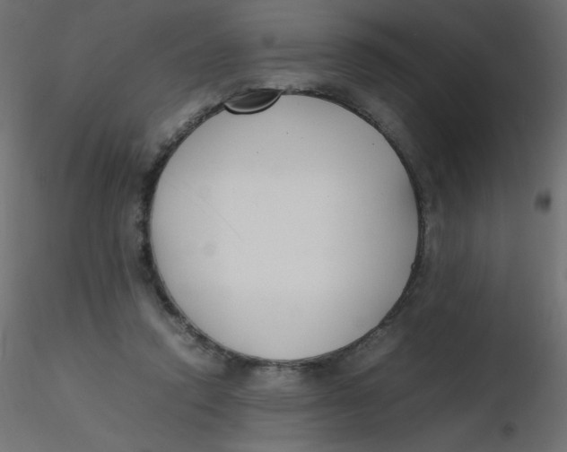 X0000116620354200912312143