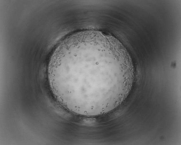 X0000116620355200912312143