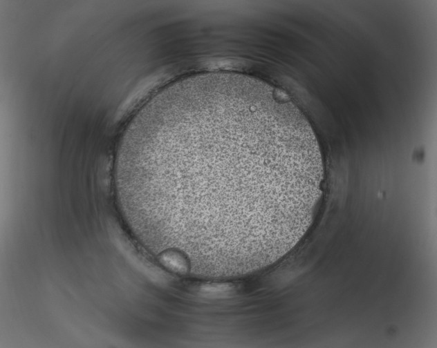 X0000116620357200912312143