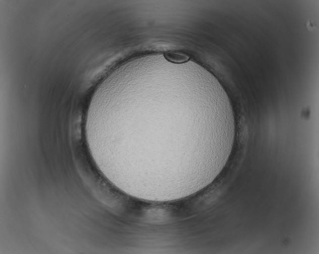 X0000116620358200912312143