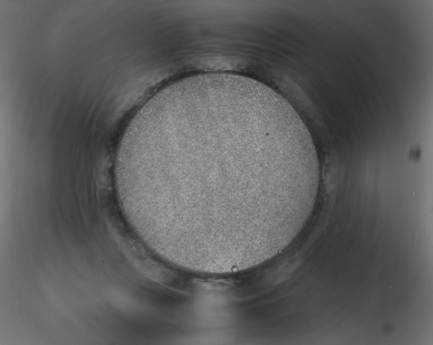 X0000116620359200912312143