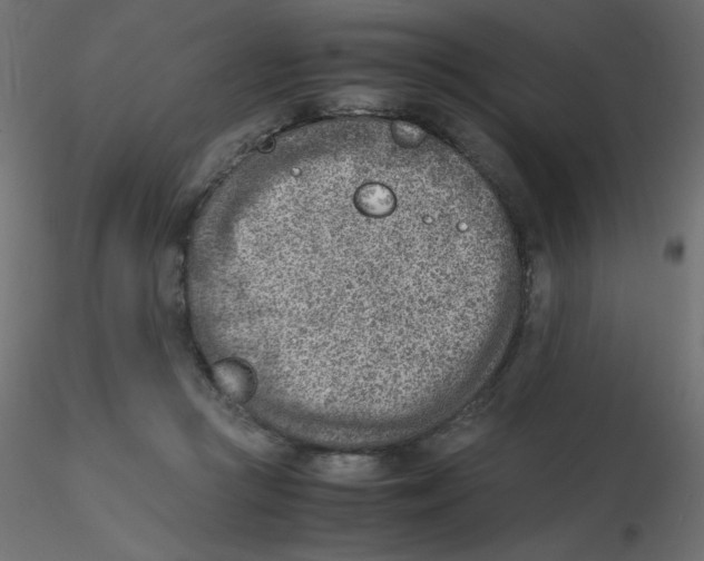 X0000116620361200912312144