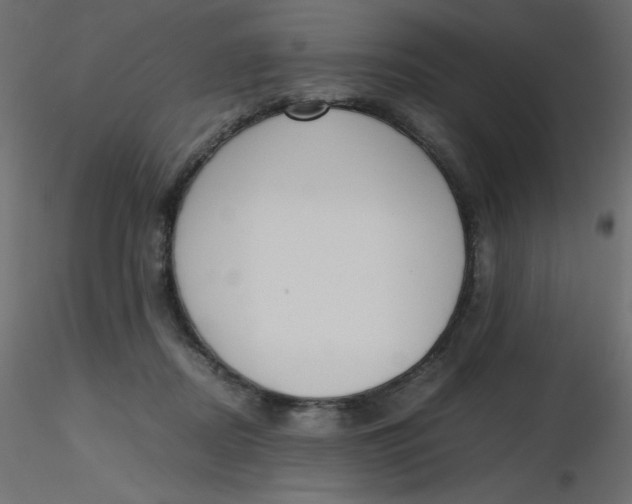 X0000116620362200912312144