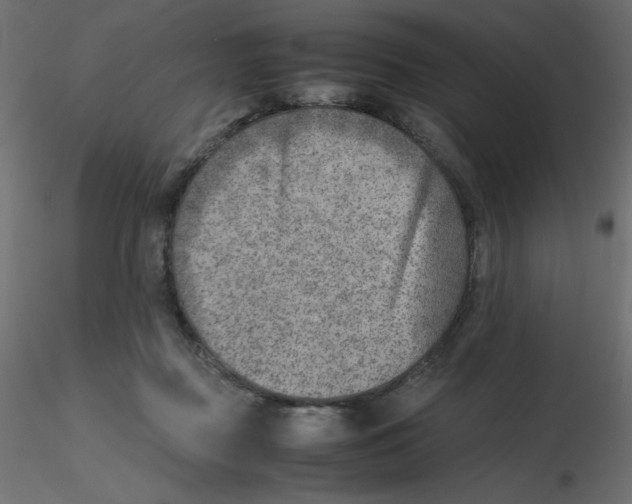 X0000116620363200912312144