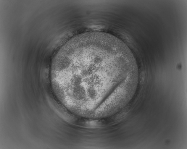 X0000116620365200912312144