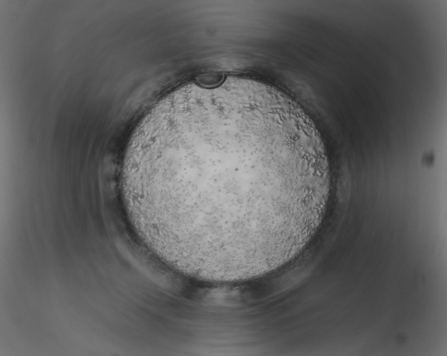 X0000116620366200912312144