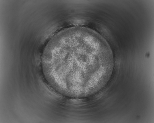 X0000116620367200912312144