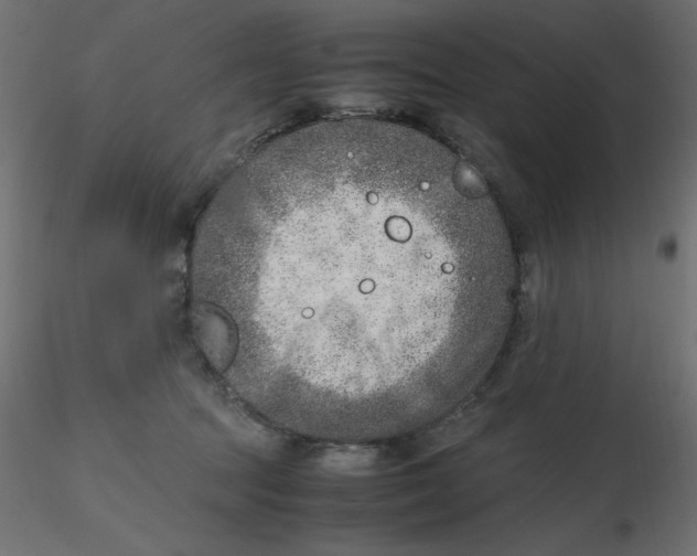 X0000116620369200912312144