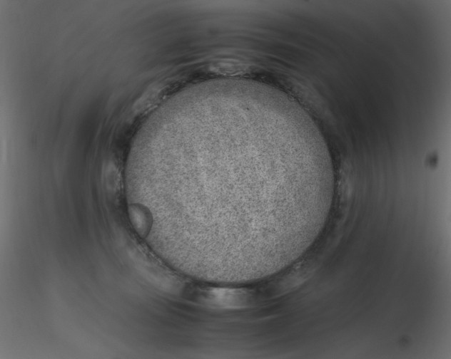 X0000116620371200912312144