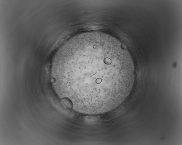 X0000116620373200912312144