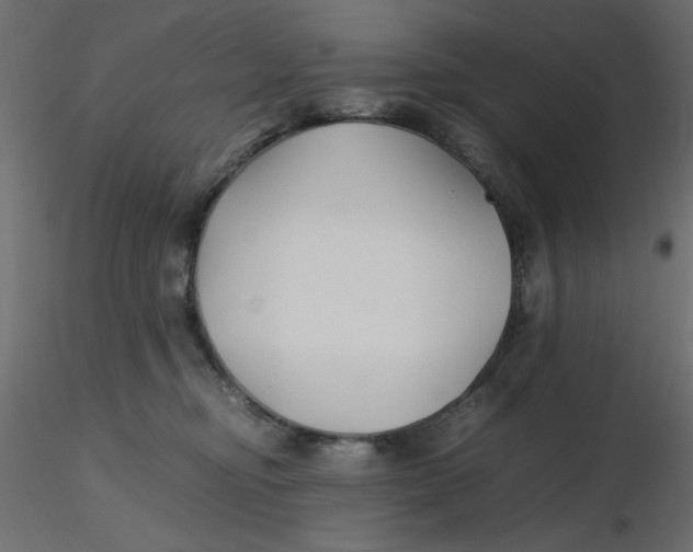 X0000116620374200912312144