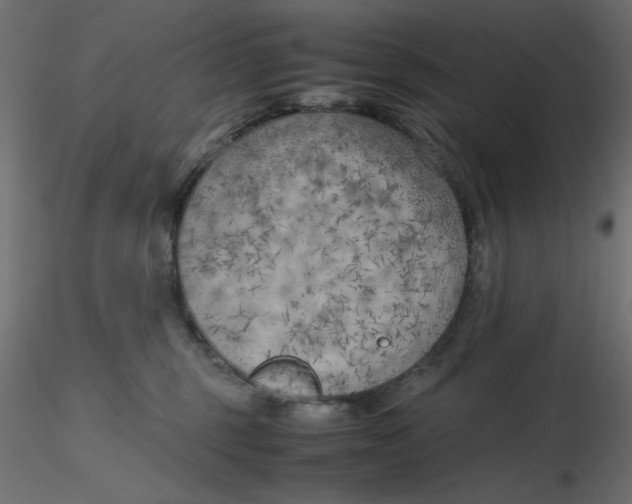 X0000116620375200912312144