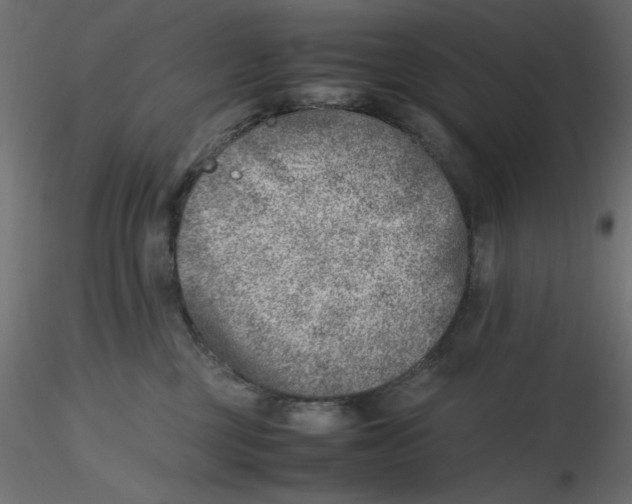 X0000116620377200912312144