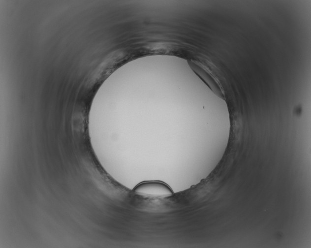 X0000116620379200912312144