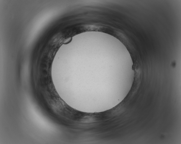 X0000116620381200912312144