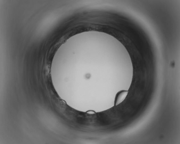 X0000116620382200912312144