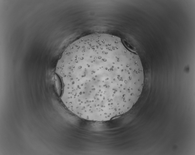 X0000116620383200912312144