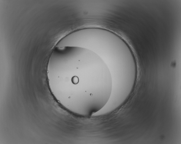 X0000116620385200912312143