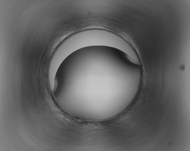 X0000116620386200912312143