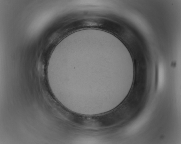 X0000116620387200912312143