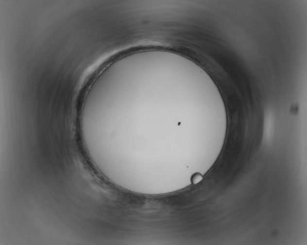 X0000116620388200912312143