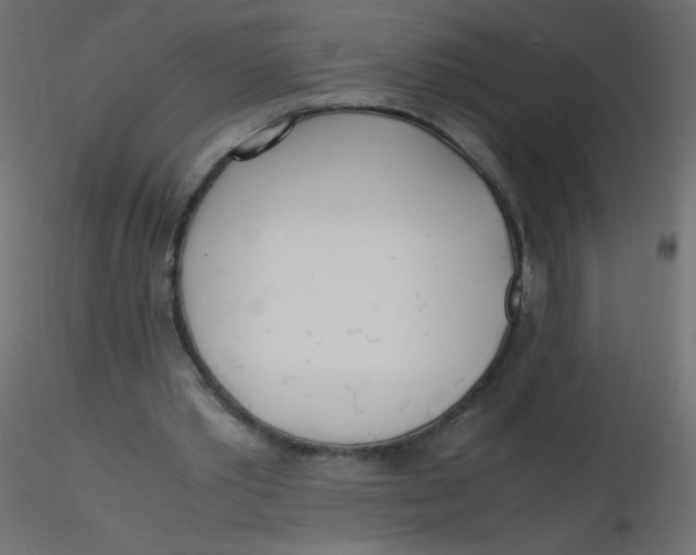 X0000116620389200912312143