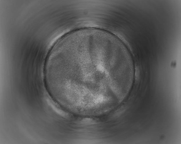 X0000116620390200912312143