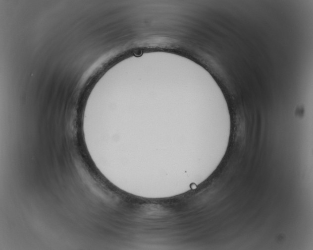 X0000116620392200912312143