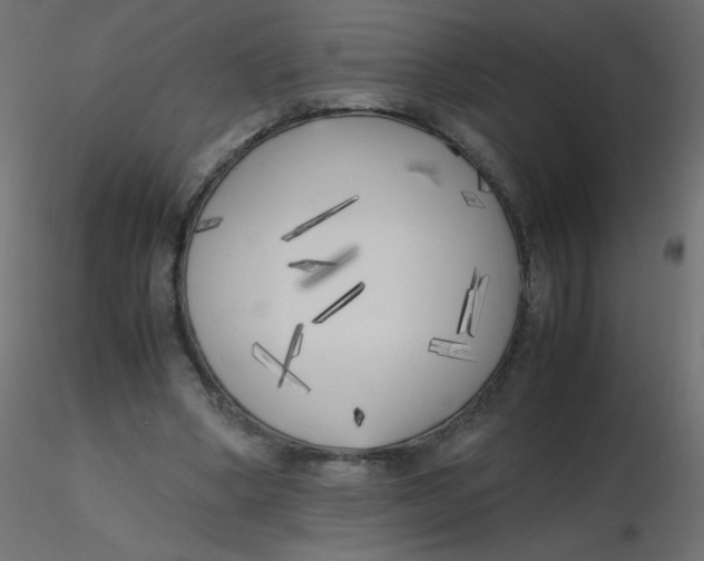 X0000116620394200912312143