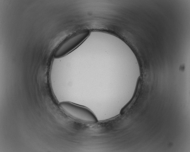 X0000116620395200912312143