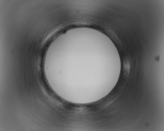 X0000116620396200912312143