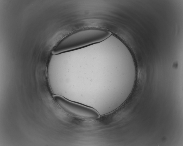 X0000116620397200912312143