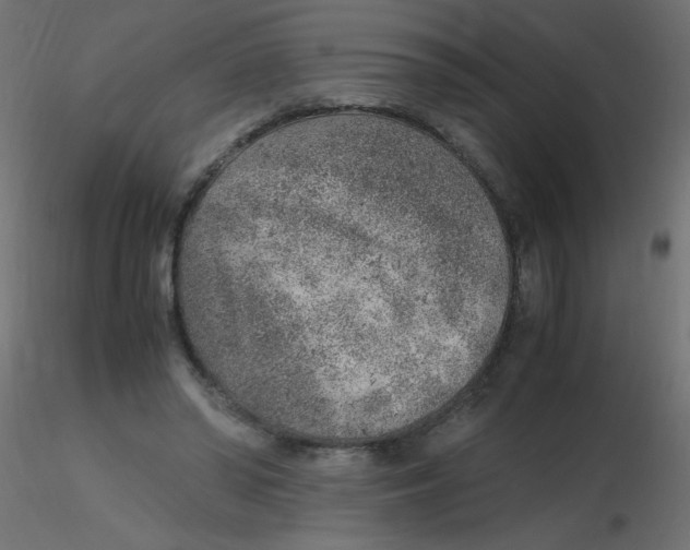 X0000116620398200912312143